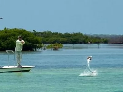 Tarpon Fly Fishing Cuba