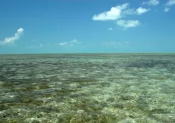 Cuba Cayo Largo salt water experience