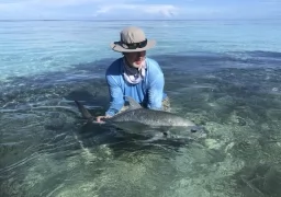 Weekly Fishing Updates in Seychelles