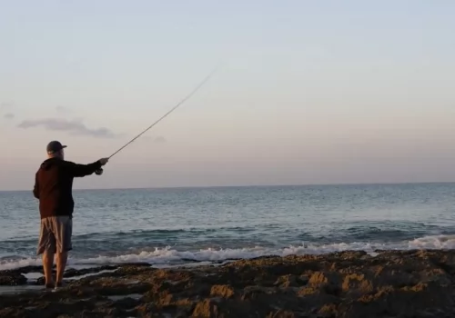 Early Morning Fishing in Oman 