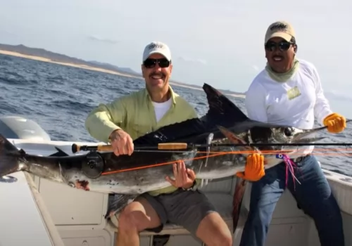 Striped Marlin on the Fly